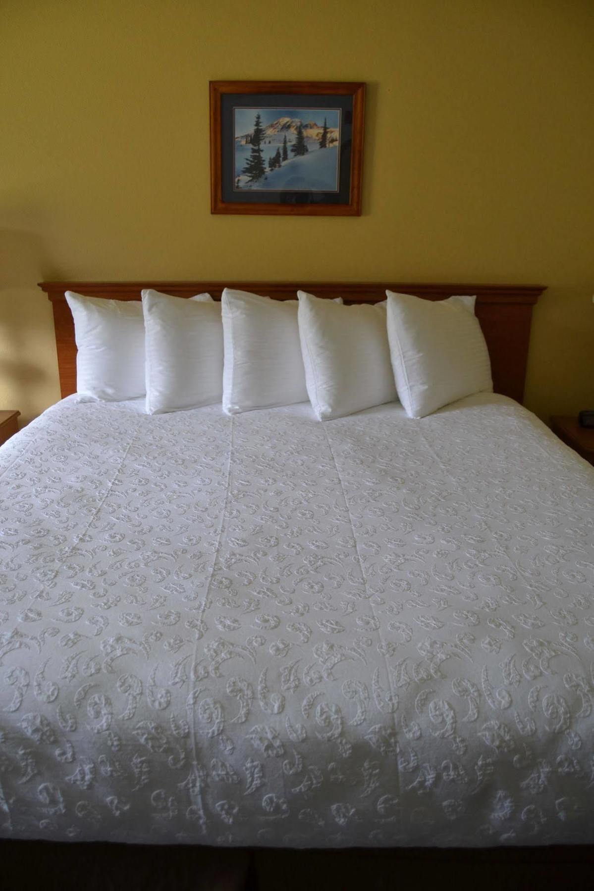 Cowlitz River Lodge Packwood Luaran gambar