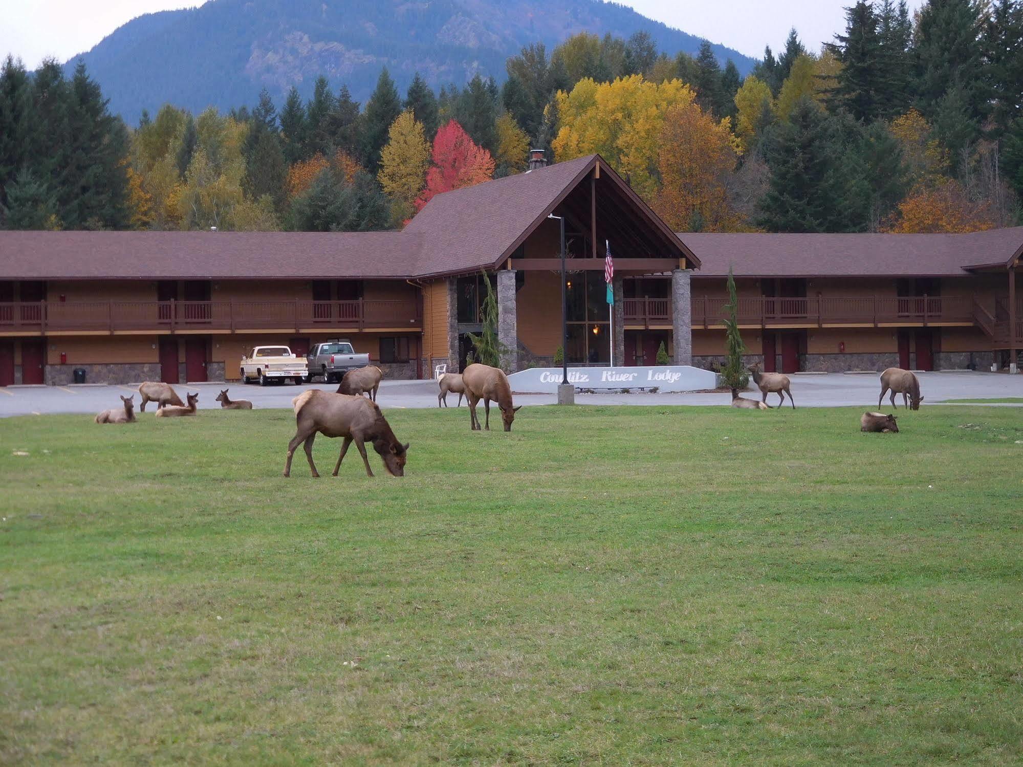 Cowlitz River Lodge Packwood Luaran gambar
