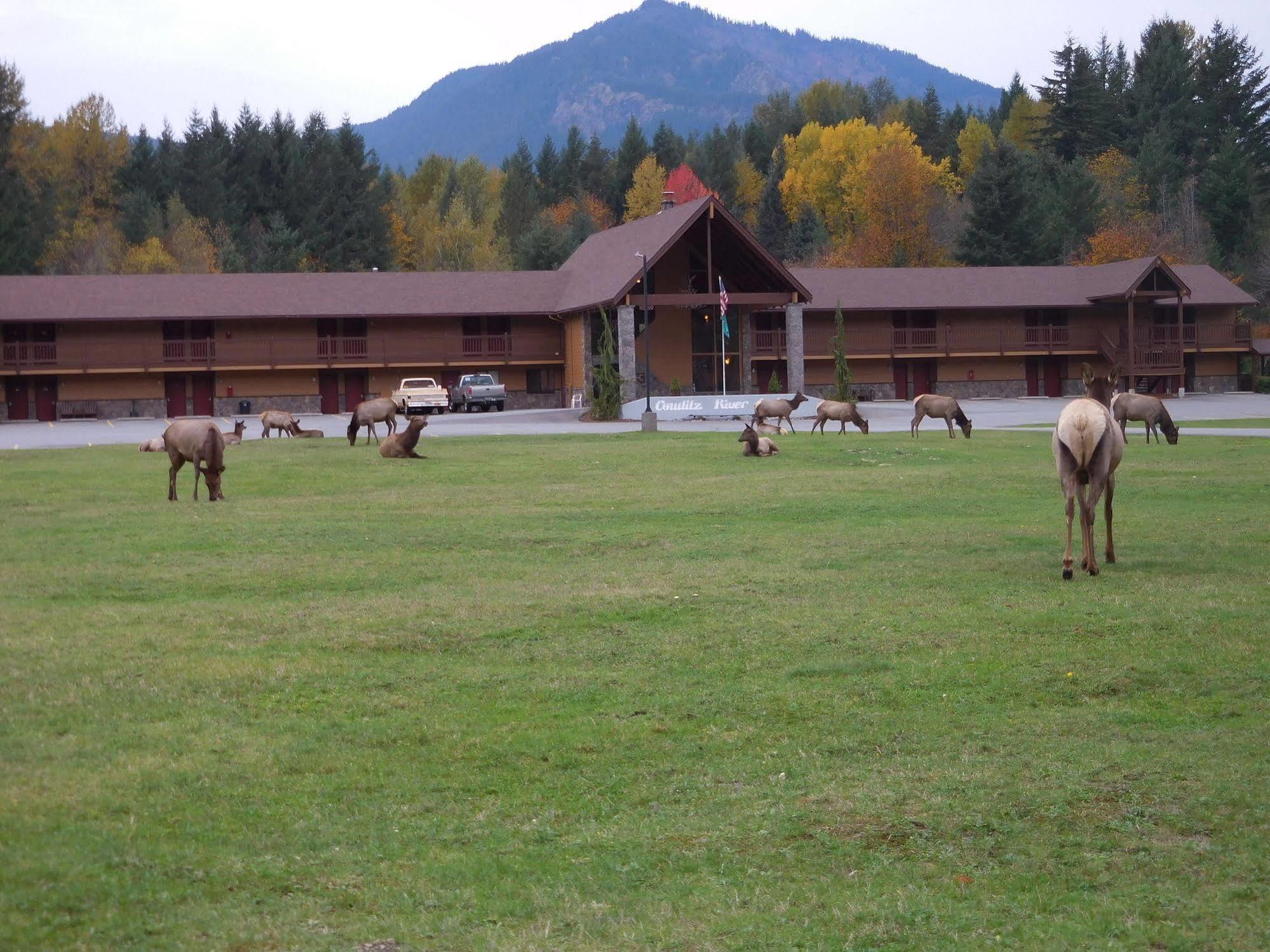 Cowlitz River Lodge Packwood Luaran gambar