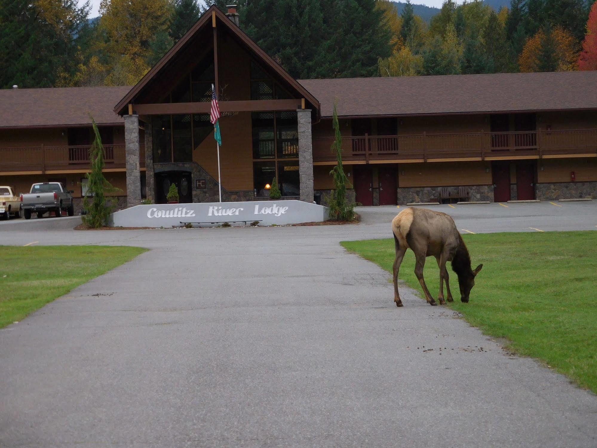 Cowlitz River Lodge Packwood Luaran gambar