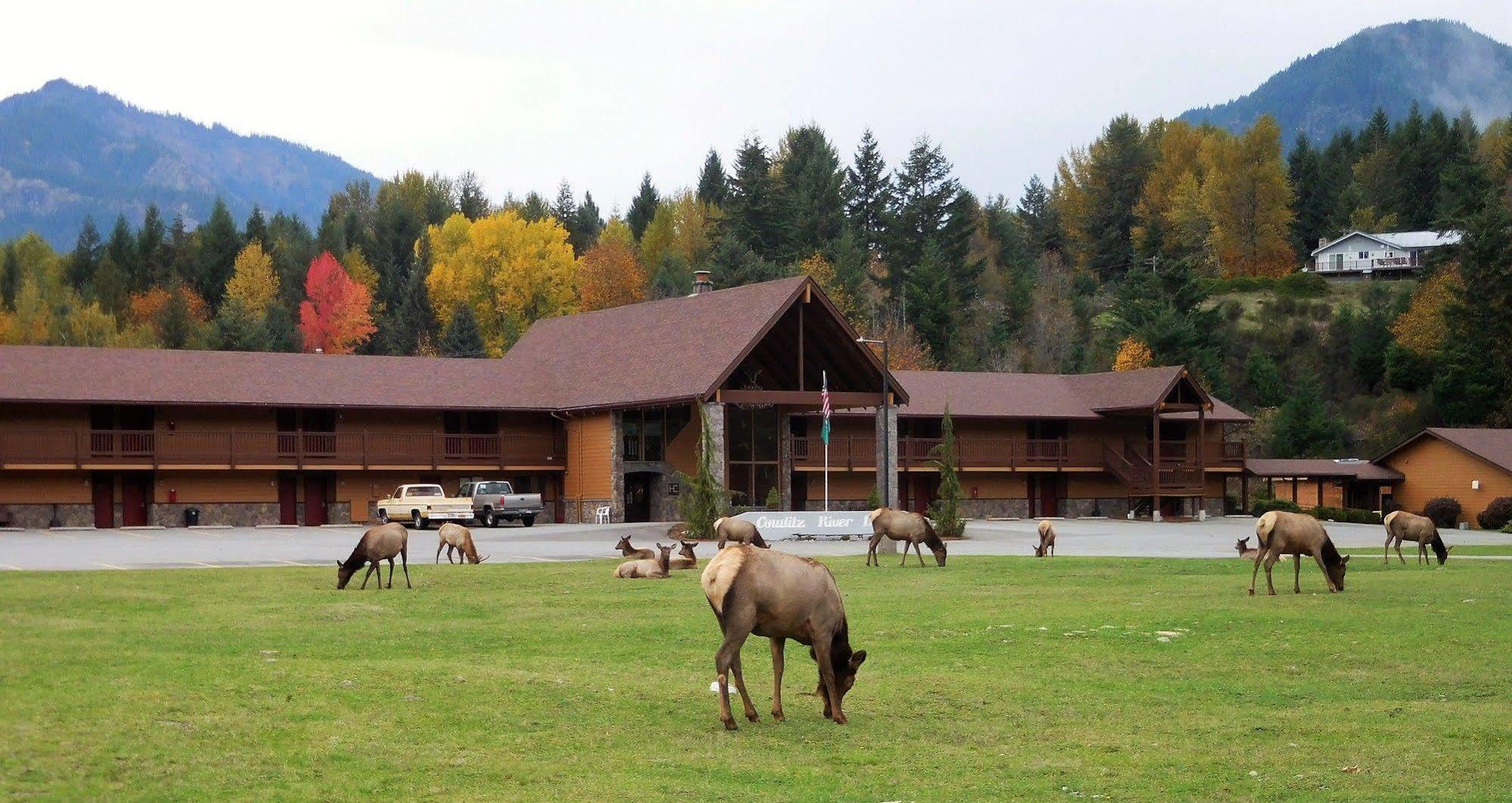 Cowlitz River Lodge Packwood Luaran gambar